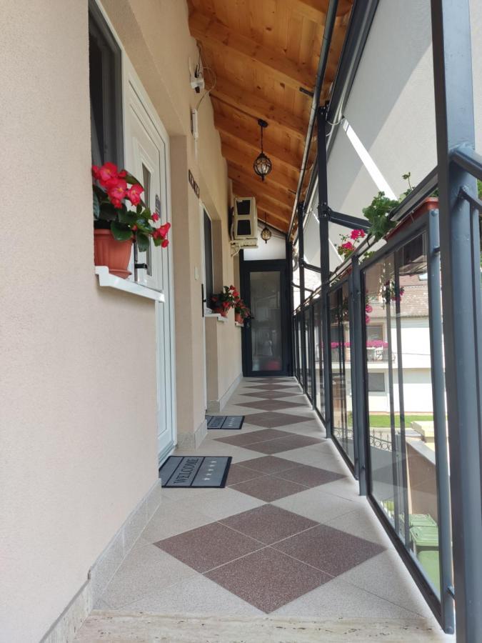 Sladjana * Novi Sad